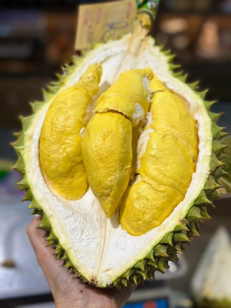 Ri 6 Durian Season in Vinh Long - Embrace the vibrant spirit of Vinh Long Travel adventures